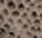 MOTIF A
