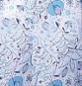 MOTIF C