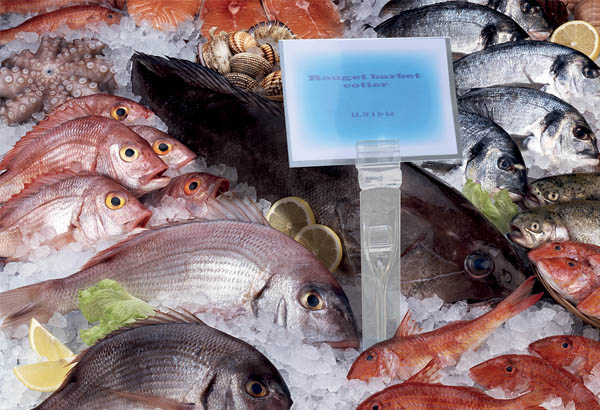 Pic avec pince plate orientable en PVC transparent de 28 mm - 26 x 150 mm