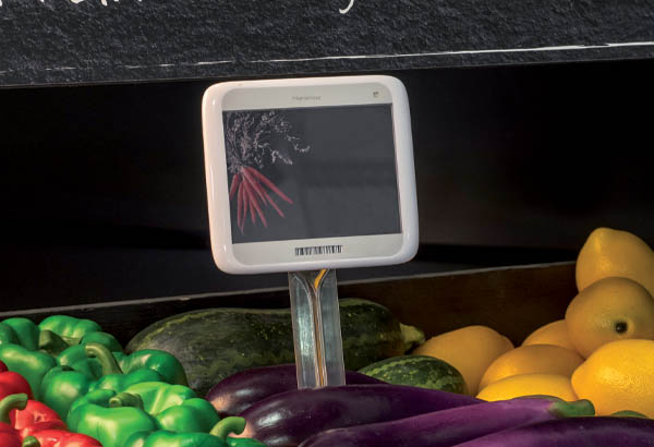 Pied à planter transparent pour PE électronique - Hauteur 150 mm