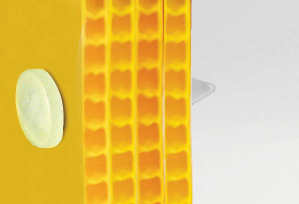 Rivet sapin clip de Ø 12 mm translucide avec serrage permanent de 14 mm