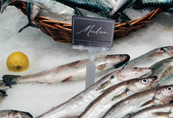 Pic avec pince articulée et ressort en PVC transparent de 80 mm - 20 x 140 mm