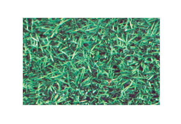 Rouleau moquette Carfloor® 400 N à thème de 150 cm x 10 m - Herbe