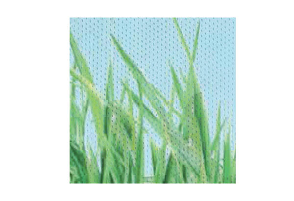 Rouleau de cache palette Calcolor® à thème de 15 cm x 50 m - Beaux jours