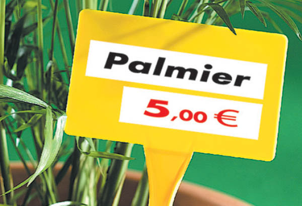 Titreur Brother® : Modèle P-Touch D-400 VP