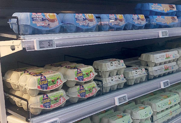 Séparateur filaire pour kit Easyroller gravité - 560 x 74 mm