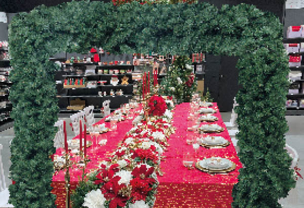 ARCHE DE SAPIN 240 X 150 X 30 CM