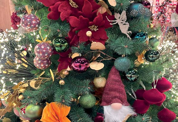 SAPIN ALPINE KING 210 CM