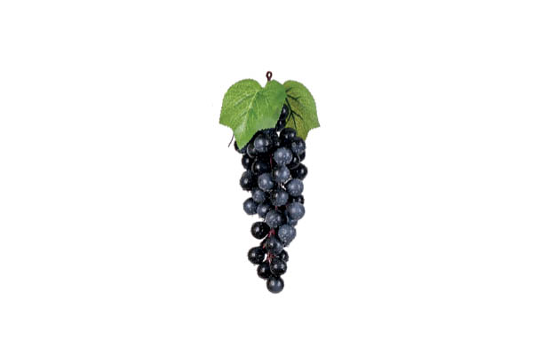 GRAPPES DE RAISINS NOIR 22 CM 60 FR