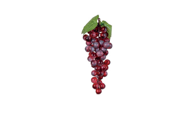 GRAPPE DE RAISINS ROUGE 22 CM 60 FR