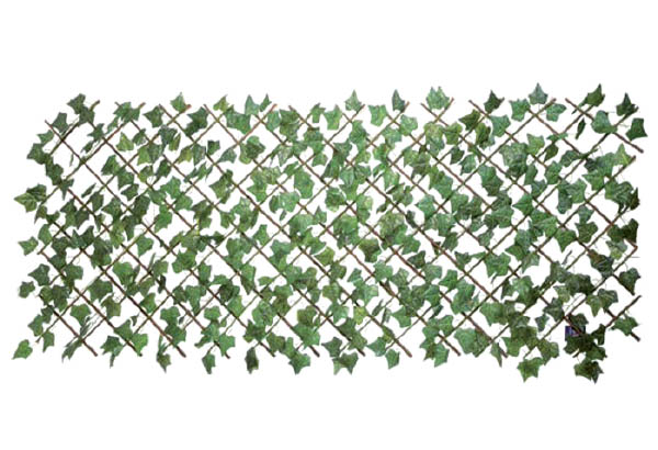 Clôture feuille de lierre