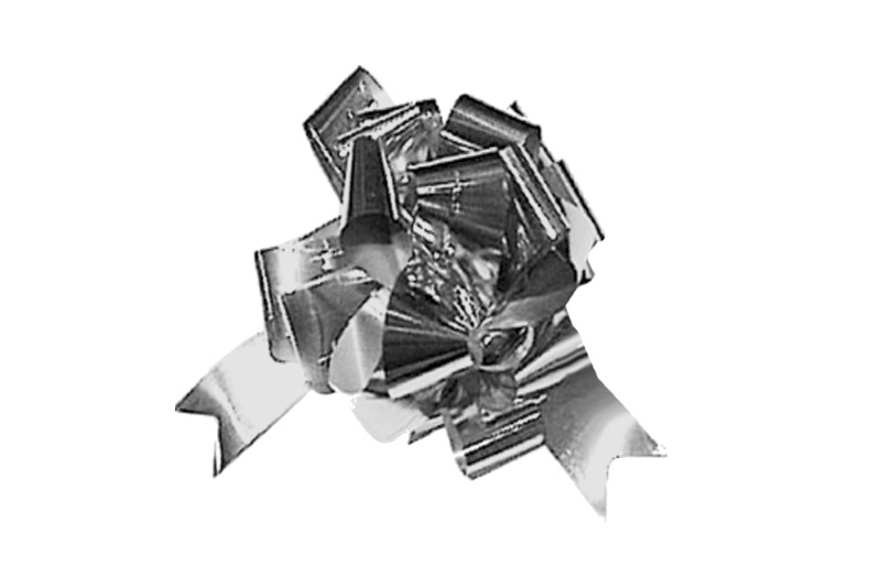 Noeud Bolduc - Diamètre 27 cm - Argent