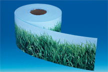 Cache palette Calcolor® "Beaux jours" 15 cm x 50 m