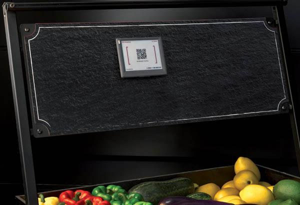 Plaque pour étiquettes compatible avec la marque SES - Fixation encoches