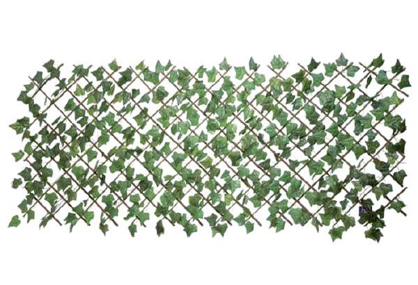 Clôture feuille de lierre