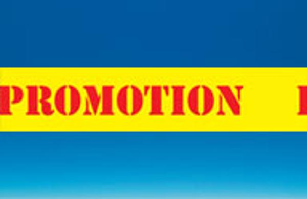 ROULEAUX PVC 34X50MM PROMOTION