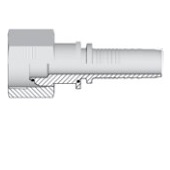 Femelle BSP 60°