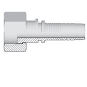 Femelle BSP fond plat