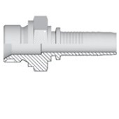 Mâle BSPP