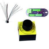 Electronic modules