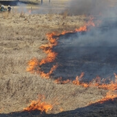 Fire extinguishing system