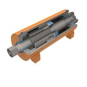 T20