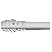 Mâle JIC 37°