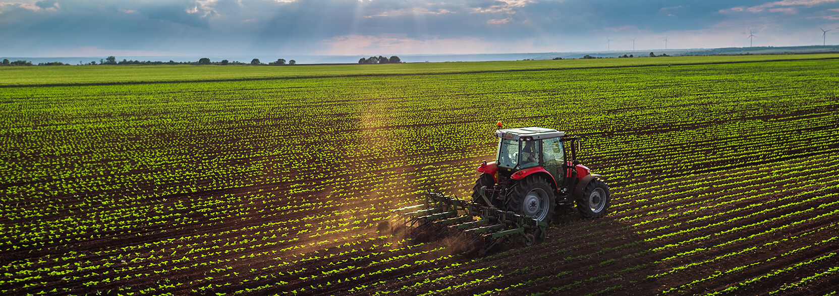 Tracteur