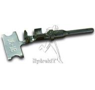 CLAVIJA MACHO DEUTSCH DT TAILLE 16