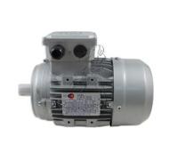 Moteur 0,55kW triphasé 1500 tours 230/400 volts B14