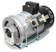 Moteur 24Vdc 4.5KW + RELAIS + PATTES - prédispo pompe