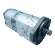 Hydraulic pump Renault Temis Ergos
