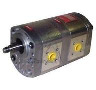 POMPE SAUER POUR MACHINE TP CA