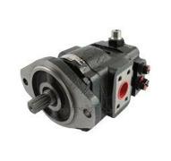 Pompe Matbro TR250 TS350 principale fonte avec valve 44cc
