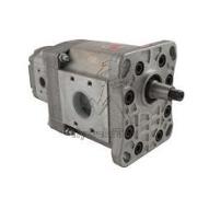 HPI PUMP FOR HEDGE CUTTER NICO
