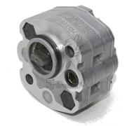 Pompe standard groupe 1 1,3 cm3 210 bar rotation droite