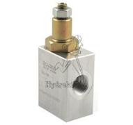 "HOSE BURST CHECK VALVE 1/2"" 25"
